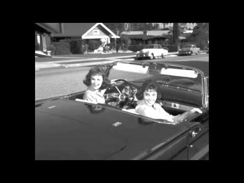 Shelley Fabares — Shelley Fabares - Lost Summer Love