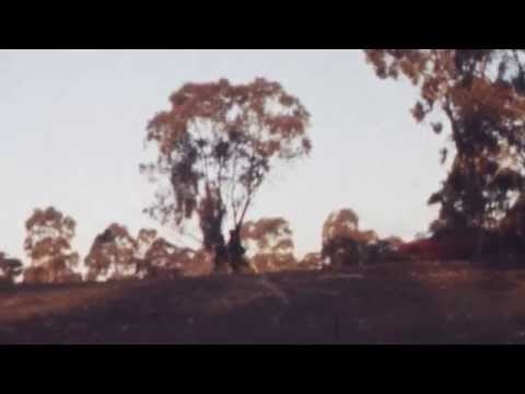 Airling — Airling - Wasted Pilots *Official Video* (Love Gracefully EP | 2014)