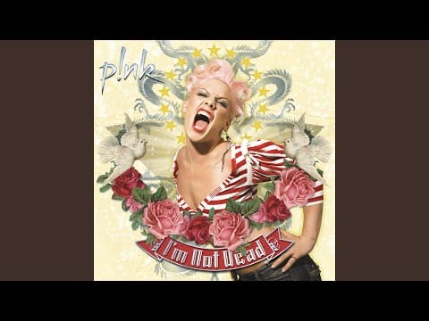 P!nk — Stupid Girls