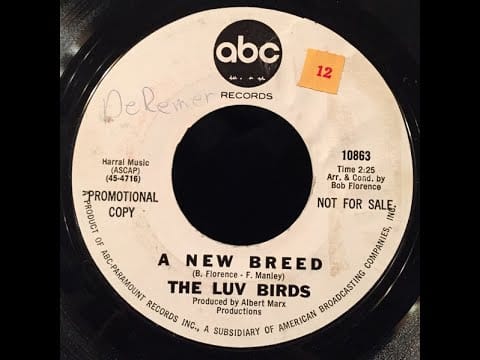 The Luv Birds — The Luv Birds - Lazy Afternoon 1966