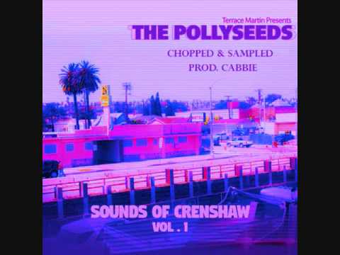 Terrace Martin — The Pollyseeds - Sounds of Crenshaw Vol. 1: CHOPPED & SAMPLED (Full)
