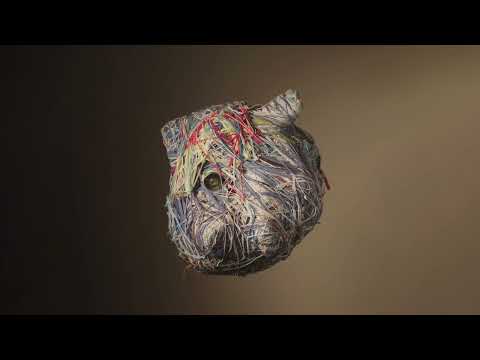 Indian Wells (2) — Indian Wells - Calabrian Woods (Official Video by Lawrie Miller)