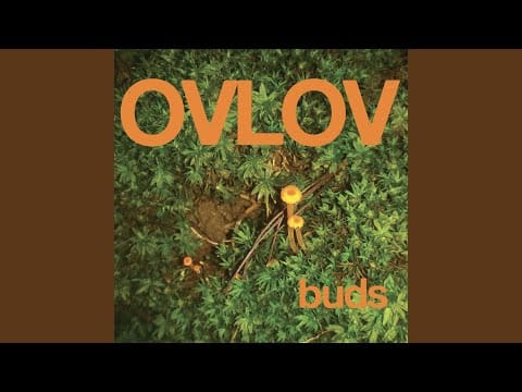 Ovlov — The Wishing Well