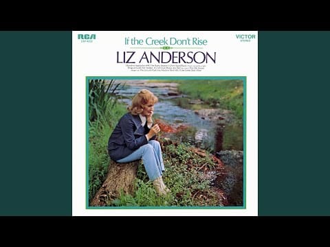 Liz Anderson — Ekcedrin Headache #99