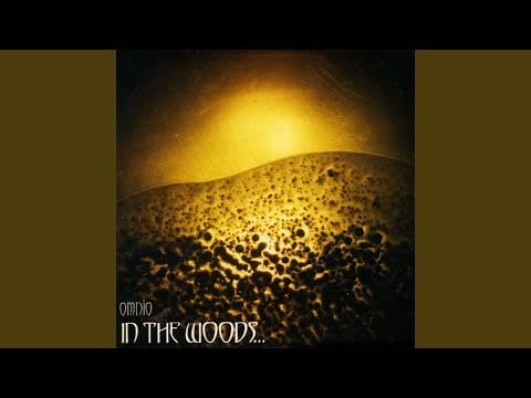 In The Woods... — I Am Your Flesh