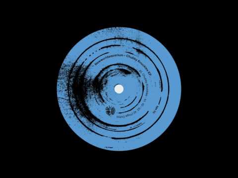 Newworldaquarium — Newworldaquarium ‎– Chubby Knuckles