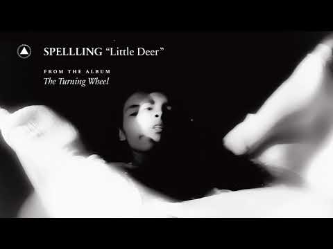 SPELLLING — SPELLLING - Little Deer (Official Audio)