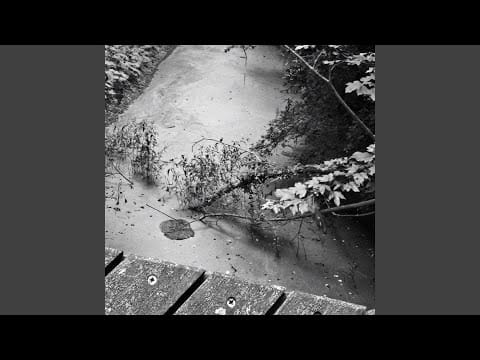 Tears of Change — Calicanto