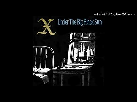 X (5) — X - The Have Nots