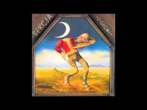 Piotr Bukartyk — Piotr Bukartyk - "Ja tu tylko gram"