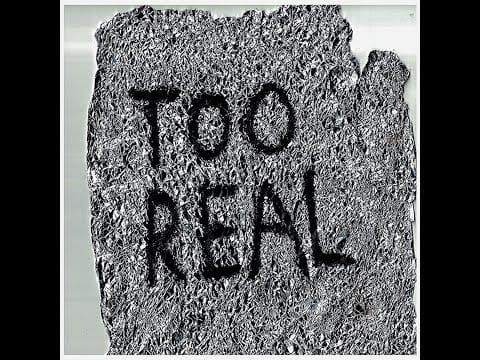 FIDLAR — Too Real
