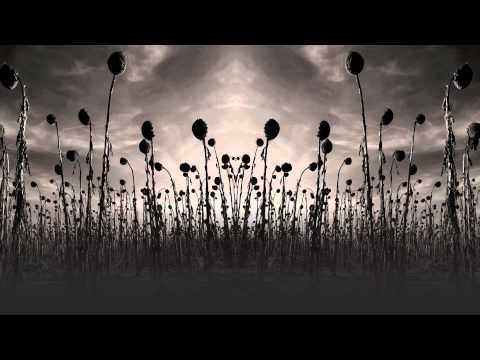 Dead Can Dance — Dead Can Dance - 'Agape'