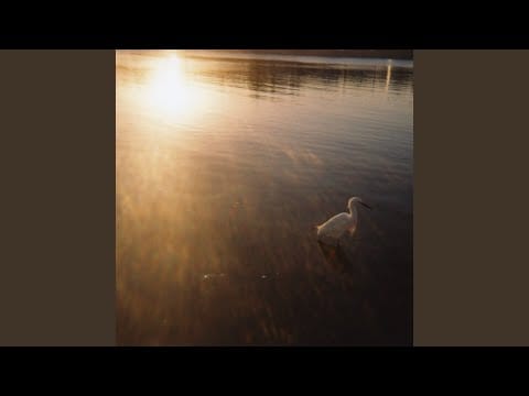 Sun Kil Moon — Nervous to Fly