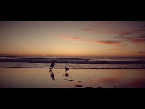 Pierpoljak — Pierpoljak - Le Mana (clip officiel)