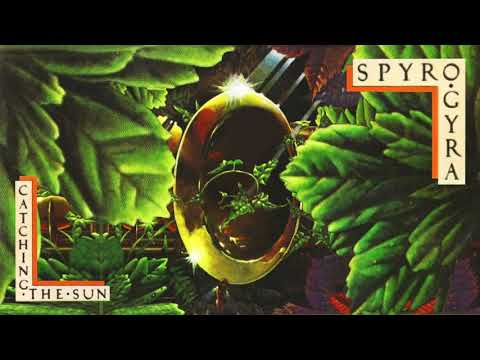 Spyro Gyra — Spyro Gyra - Laser Material