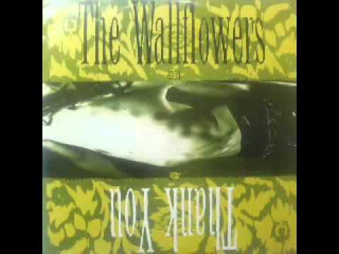 The Wallflowers (2) — the wallflowers   thank you