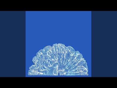 Leafcutter John — Elephant Bones