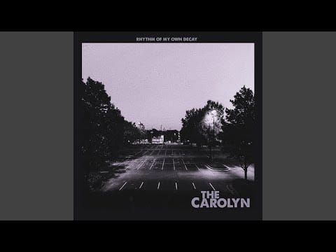 The Carolyn — Webs