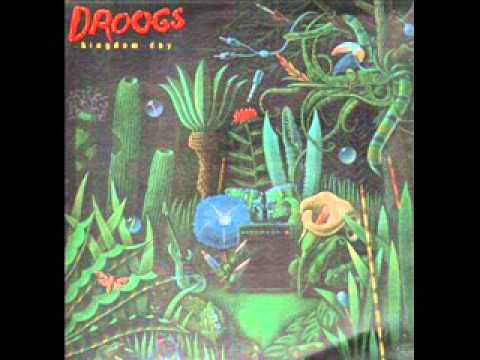 Droogs — The Droogs - Stranger in the rain