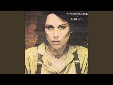 Annette Peacock — Too Much in the Skies