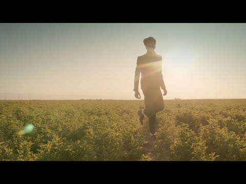 Francis And The Lights — Francis and the Lights - Like a Dream