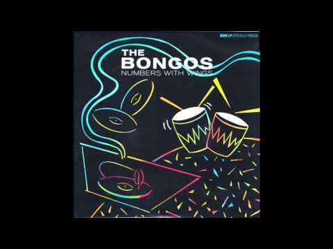 The Bongos — Bongos – “Numbers With Wings” (RCA) 1983