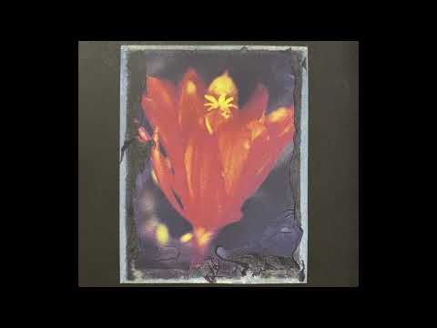Naoki Zushi — 頭士奈生樹 (Naoki Zushi) - Phenomenal Luciferin 現象化する発光素