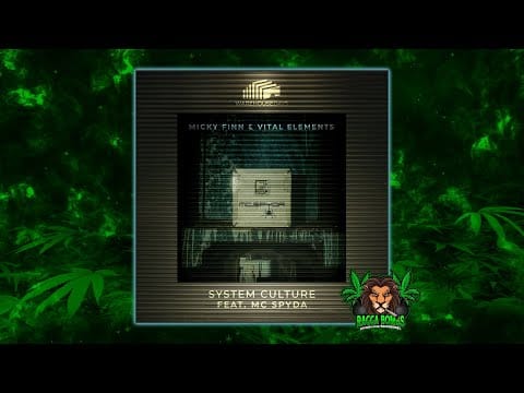 Micky Finn — Micky Finn & Vital Elements feat. MC Spyda - System Culture (Original Mix)
