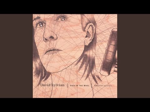 David Sylvian — Anomaly At Taw Head