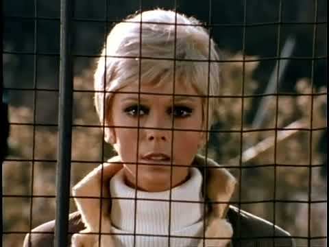 Nancy Sinatra — Nancy Sinatra - Friday's Child (OST Movin' With Nancy 1967) (HD 60fps)