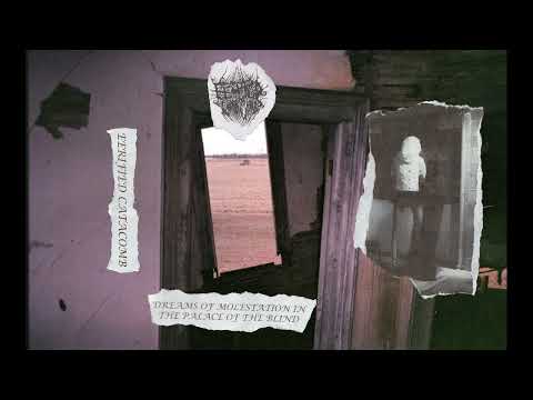 Eerified Catacomb — Eerified Catacomb (Canada) - Dreams of Molestation in the Palace of the Blind (Demo 2023)