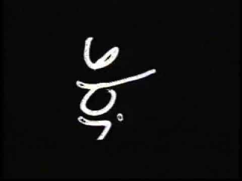 Hong Kong Counterfeit — Hong Kong Counterfeit  - Metal Disco (Music Video)