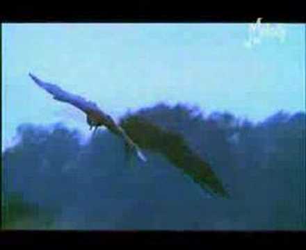 Didier Barbelivien — Les mariés de Vendée
