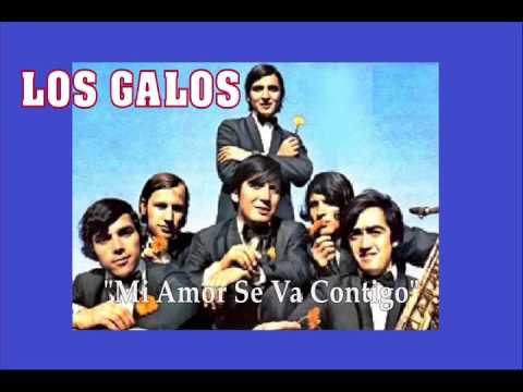 Los Galos — LOS GALOS "Mi Amor Se Va Contigo"