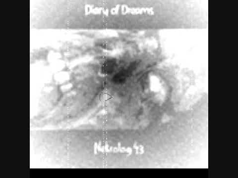 Diary Of Dreams — Diary of Dreams Nekrolog 43