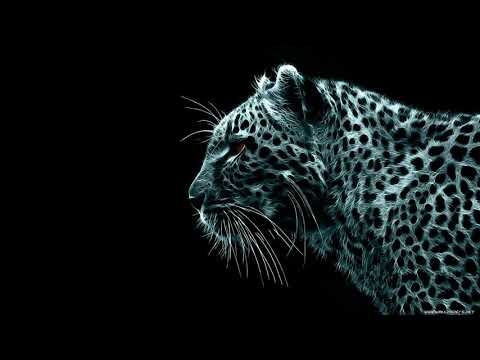 Tonic — Tonic - Hip To The Hoppa