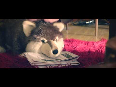 Liam Hayes — Liam Hayes - Fokus (Official Video)
