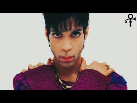 The Artist (Formerly Known As Prince) — PRINCE & THE NEW POWER GENERATION MUSTANG MIX