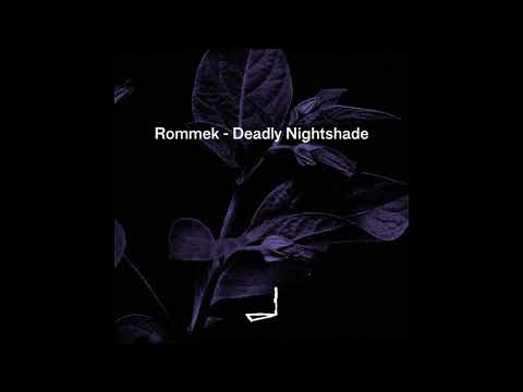 Rommek — Rommek - Chase The Rush [LEYLA011]