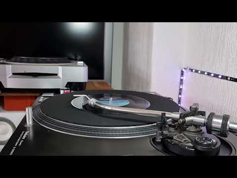 Darryl Pandy — Darryl Pandy - Animal Magnetism - Nightmare Records - 1986 House - 7" Record (45 Rpm)