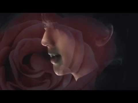 AAA — Hide-away / AAA
