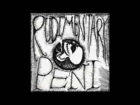 Rudimentary Peni — Rudimentary Peni ep 1981
