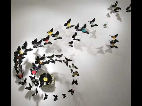 Richard Wolfsdorf — Ricardo Villalobos aka Richard Wolfsdorf - Bosch
