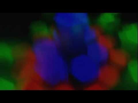 Electro City (3) — Electrocity - black light