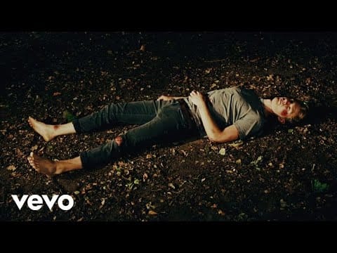 Glass Animals — Psylla