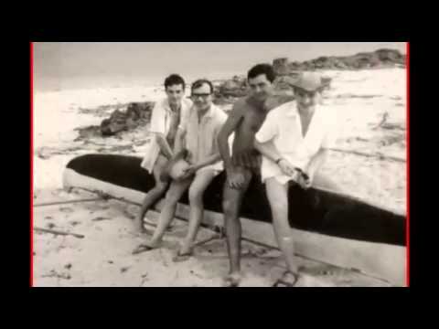 The Cousins — The Cousins - Funny How Love Can Be