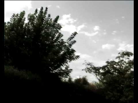 Incoming Cerebral Overdrive — Incoming Cerebral Overdrive - Studio Report 2k8 - CONTROVERSO