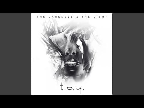 T.O.Y. — The Darkness & The Light (Daniel Myer Remix)