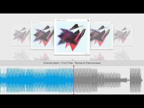Orlando Voorn — Orlando Voorn - Fruit Flies - Tarvisium Electronique