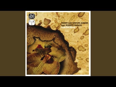 Terry Lee Brown Jr. — Wait (The Timewriter Remix)